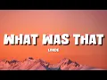 Download Lagu Lorde - What Was That [Lyrics]