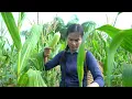 Every day is a new challenge for Thuy _ Building a farm, selling produce and raising my son. 