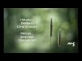 Download Lagu Andra \u0026 The Backbone - Panah Takdir (with Lyric)