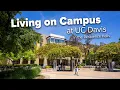 Living on Campus at UC Davis in the Residence Halls