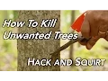 Download Lagu How To Kill a Tree | Hack and Squirt