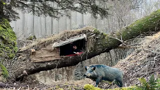 Building A Secret Shelter In A Fallen Tree For Survival 