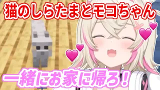 マイクラで出会った猫、「しらたま」と仲良くなって家族に迎え入れるモコちゃん【ホロライブ切り抜き/FUWAMOCO/フワモコ】