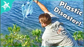 Ocean Plastic Crisis – 5 ways to Help