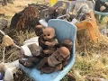 The African Village of Birmingham AL