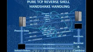 Coding Pure TCP Reverse Shell And TCP Handshake Handling Through Python