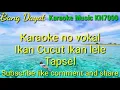 Download Lagu Ikan cucut ikan lele Tapsel karaoke KN7000