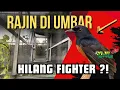 Lagu STOP‼️ Kesalahan Umbar Murai Batu yang Diam-diam Merusak Mental