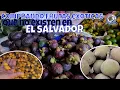 Buying Exotic Fruits at the Honduran Market I found some rare fruits
