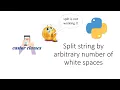 Split string by arbitrary number of white spaces Python Castor Classes