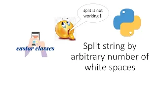 Split string by arbitrary number of white spaces Python Castor Classes