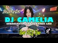 Download Lagu DJ SUDAHLAH JANGAN MENANGIS LAGI | CAMELIA