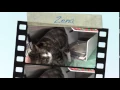 shelter cats - mat su animal shelter