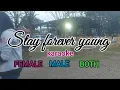 Lagu Stay forever young-karaoke