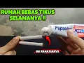 Download Lagu LUAR BIASA !! Cukup Pake ini Rumah BERSIH Dari TIKUS !!