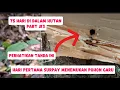 Lagu 75 HARI DI HUTAN #detik detik meninggalkan sungai merok PART 3#kayugaharu
