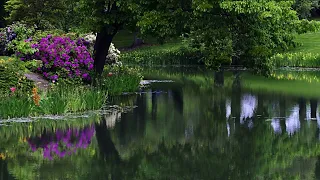 Иегова друг бедных 