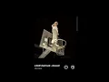 Download Lagu A bird's last look - Slowed by Skywave. #fullsongs #song #slowed