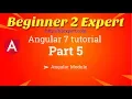 What is Angular Module Angular 7 module Backbone of angular application