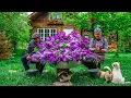 Download Lagu The Scent of Spring - Homemade Lilac Syrup