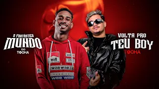 Tocha e Pedrinho Love - Volta pro teu boy (O fantastico mundo do Tocha)