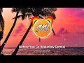 Download Lagu Lewis Capaldi - Before You Go (Malarkey Remix)