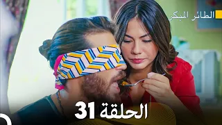 مسلسل الطائر المبكر الحلقة 31 Arabic Dubbed FULL HD 