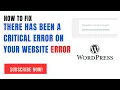 How to fix the There has been a critical error on your website error 2025