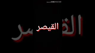 حالت وتس سليم درويش اليزعل خلو يزعل بجهنم عمرينو مدام ولفي يمي 