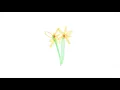 Download Lagu LANDOKMAI - เก็บดอกไม้ (Official Audio)