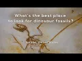 What s the best place to look for dinosaur fossils