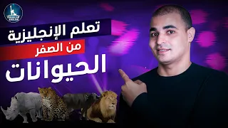 تعلم اللغة الإنجليزية للمبتدئين الدرس السادس مفردات عن الحيوانات 