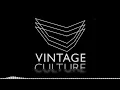 Sweet Disposition - Vintage Culture (Intro)
