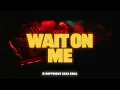 Wait On Me (feat. Kacey Musgraves) - THEY.