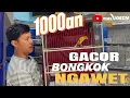 Download Lagu 1000an . . GACOR NGAWET BONGKOK