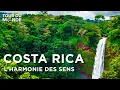 Download Lagu Costa Rica : Le joyau vert de l'Amérique Centrale - Biodiversité - Documentaire voyage - AMP