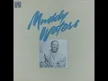 Got My Mojo Working - Muddy Waters