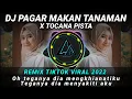 Download Lagu DJ PAGAR MAKAN TANAMAN  x TOCANA PISTA REMIX TIKTOK VIRAL 2022 FULL BASS