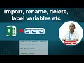 How to import data into STATA Rename variables and add value labels