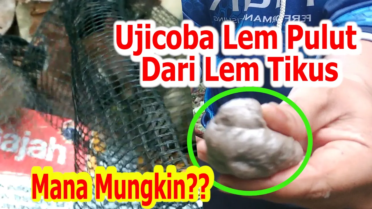 HALO TEMAN TEMAN Terima kasih telah menonton video ini Jangan lupa untuk tekan tombol SUBSCRIBE . 