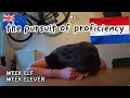 Download Lagu Correct sentence structure?! Finally? the pursuit of [Dutch] proficiency: WEEK ELF, ft. Femke's help