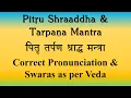 Download Lagu Pitru (पितृ) Paksha - Mahalaya | Shraaddha Tarpana Mantras | Perfect Pronunciation | Sri. K Suresh
