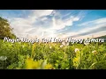 Pingin Nangis Tapi Isin- Happy Asmara (Lirik)