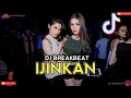 Download Lagu DJ BREAKBEAT IJINKAN REMIX FULL BASS BB