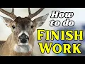 How To Finish a Whitetail Deer Mount Epoxy Paint Seal Groom