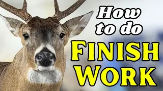 How To Finish a Whitetail Deer Mount Epoxy Paint Seal Groom