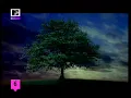 William Orbit - Barbers Adagio For Strings (Official Video)