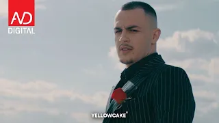                    دندنها