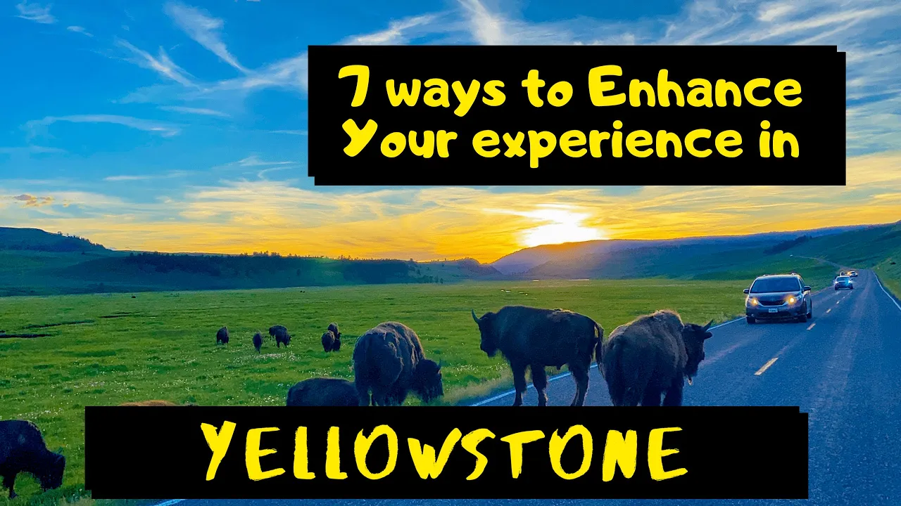 Visiting Yellowstone National Park in Fall and Winter