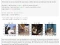 Lesson 1 Practical Deep Learning for Coders
